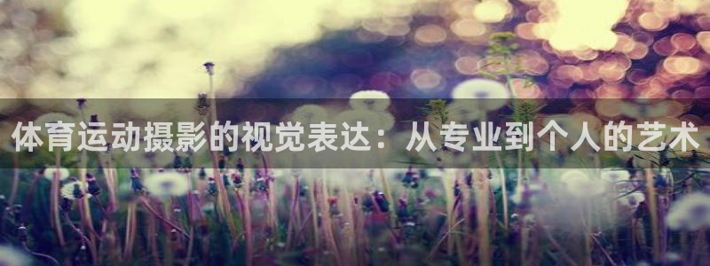 米兰体育官方正版app集团简介:体育运动摄影的视觉表达:从专