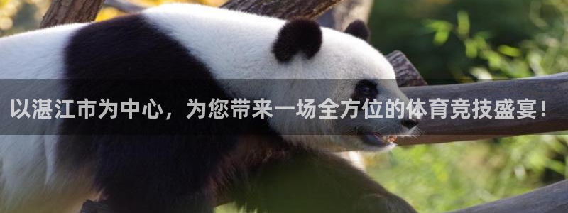 米兰体育官方正版app集团官网网址:以湛江市为中心,为您带来