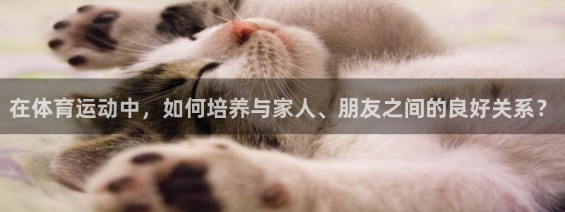 米兰体育官网下载软件:在体育运动中,如何培养与家人、朋友之间
